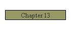 Chapter 13