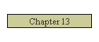 Chapter 13